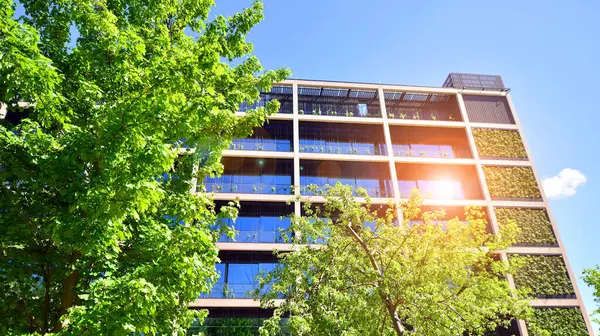 Ağaçlı modern şehir ekonomi bürosu binası. Modern mimari cephesinin detaylı görüntüleri, iş kavramları. Çevre. Modern bina ve ağaçlar, çift pozlama.