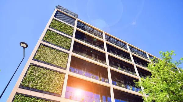 Ağaçlı modern şehir ekonomi bürosu binası. Modern mimari cephesinin detaylı görüntüleri, iş kavramları. Çevre. Modern bina ve ağaçlar, çift pozlama.