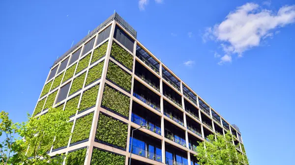 Ağaçlı modern şehir ekonomi bürosu binası. Modern mimari cephesinin detaylı görüntüleri, iş kavramları. Çevre. Modern bina ve ağaçlar, çift pozlama.