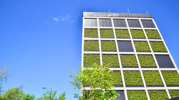 Ağaçlı modern şehir ekonomi bürosu binası. Modern mimari cephesinin detaylı görüntüleri, iş kavramları. Çevre. Modern bina ve ağaçlar, çift pozlama.