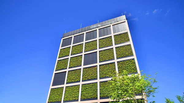 Ağaçlı modern şehir ekonomi bürosu binası. Modern mimari cephesinin detaylı görüntüleri, iş kavramları. Çevre. Modern bina ve ağaçlar, çift pozlama.