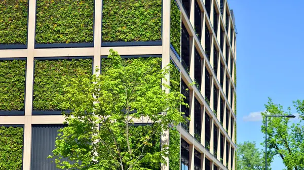 Ağaçlı modern şehir ekonomi bürosu binası. Modern mimari cephesinin detaylı görüntüleri, iş kavramları. Çevre. Modern bina ve ağaçlar, çift pozlama.