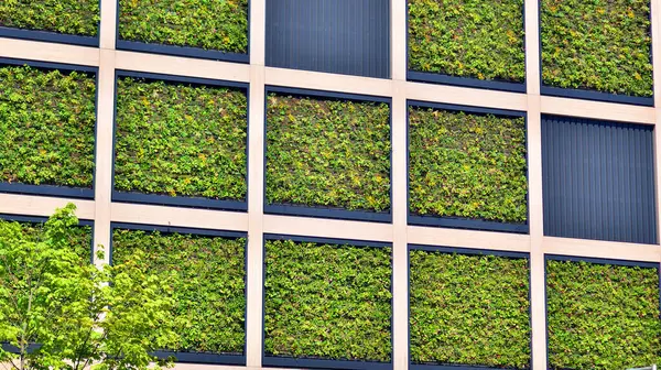 Ön cephesinde bitkiler olan yeşil ofis binası. Ekoloji ve yeşil yaşam şehirde, kentsel çevre kavramı. Çevre mimarisi. 