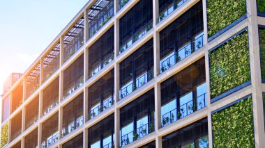 Ön cephesinde bitkiler olan yeşil ofis binası. Ekoloji ve yeşil yaşam şehirde, kentsel çevre kavramı. Çevre mimarisi. 