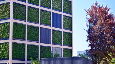 Ağaçlı modern şehir ekonomi bürosu binası. Modern mimari cephesinin detaylı görüntüleri, iş kavramları. Çevre. Modern bina ve ağaçlar, çift pozlama.