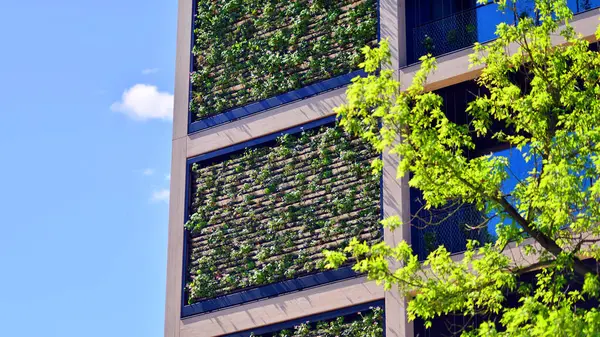 Ağaçlı modern şehir ekonomi bürosu binası. Modern mimari cephesinin detaylı görüntüleri, iş kavramları. Çevre. Modern bina ve ağaçlar, çift pozlama.