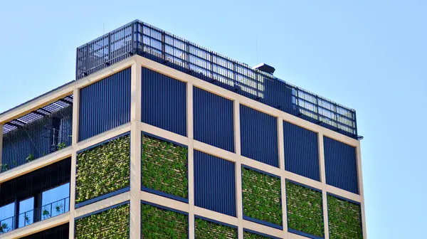 Ön cephesinde bitkiler olan yeşil ofis binası. Ekoloji ve yeşil yaşam şehirde, kentsel çevre kavramı. Çevre mimarisi. 
