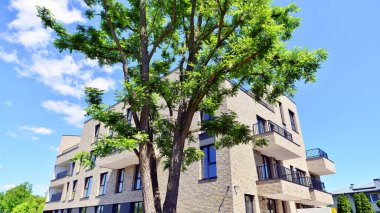 Çevre mimarisi. Yeşil ağaç ve yeni konut binası. Doğanın ve modernliğin ahengi. Yeşil yerleşim bölgesinde yeni daireleri olan modern bir apartman..