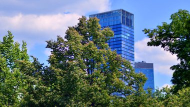 Modern şehir için ilham verici bir manzara. Cam ve metalden yapılmış binanın duvarı ağaçlara karşı. Kurumsal yapı ve ekoloji, mavi gökyüzü ve yeşil ağaçlı modern bina manzarası. 
