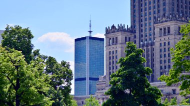 Modern şehir için ilham verici bir manzara. Cam ve metalden yapılmış binanın duvarı ağaçlara karşı. Kurumsal yapı ve ekoloji, mavi gökyüzü ve yeşil ağaçlı modern bina manzarası. 