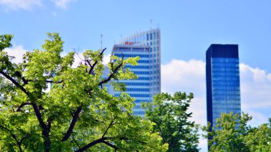 Modern şehir için ilham verici bir manzara. Cam ve metalden yapılmış binanın duvarı ağaçlara karşı. Kurumsal yapı ve ekoloji, mavi gökyüzü ve yeşil ağaçlı modern bina manzarası. 