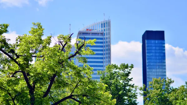 Modern şehir için ilham verici bir manzara. Cam ve metalden yapılmış binanın duvarı ağaçlara karşı. Kurumsal yapı ve ekoloji, mavi gökyüzü ve yeşil ağaçlı modern bina manzarası. 