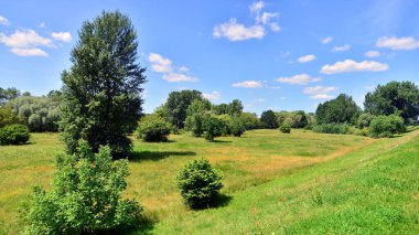 Nehrin çimenli kıyısında yaz manzarası ağaçların arasında taşar..