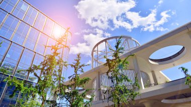 Karbondioksiti azaltmak için ağaçlı sürdürülebilir cam ofis binası. Modern şehirde çevre dostu bir bina. Yeşil çevresi olan bir ofis. Şirket binası CO2 'yi düşürdü.