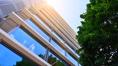 Karbondioksiti azaltmak için ağaçlı sürdürülebilir cam ofis binası. Modern şehirde çevre dostu bir bina. Yeşil çevresi olan bir ofis. Şirket binası CO2 'yi düşürdü.