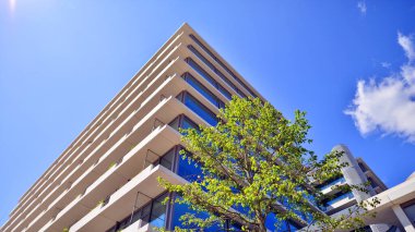 Yeşil çevresi olan bir ofis. Şirket binası karbondioksiti azaltır. Karbondioksiti azaltmak için ağaçlı sürdürülebilir cam ofis binası. Modern şehirde çevre dostu bir bina..