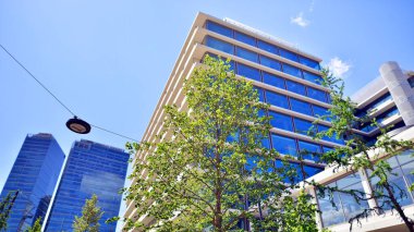 Yeşil çevresi olan bir ofis. Şirket binası karbondioksiti azaltır. Karbondioksiti azaltmak için ağaçlı sürdürülebilir cam ofis binası. Modern şehirde çevre dostu bir bina..