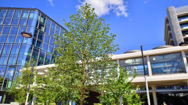 Yeşil çevresi olan bir ofis. Şirket binası karbondioksiti azaltır. Karbondioksiti azaltmak için ağaçlı sürdürülebilir cam ofis binası. Modern şehirde çevre dostu bir bina..