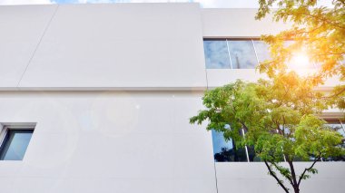 Çevre mimarisi. Yeşil ağaç ve cam ofis binası. Doğanın ve modernliğin ahengi. Modern ticari binanın yansıması güneş ışığıyla cam üzerine.. 