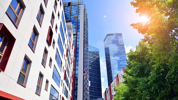 Karbondioksiti azaltmak için ağaçlı sürdürülebilir cam ofis binası. Modern şehirde çevre dostu bir bina. Yeşil çevresi olan bir ofis. Şirket binası CO2 'yi düşürdü.