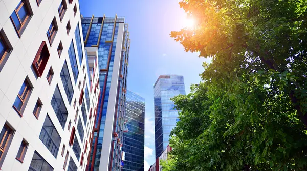 Karbondioksiti azaltmak için ağaçlı sürdürülebilir cam ofis binası. Modern şehirde çevre dostu bir bina. Yeşil çevresi olan bir ofis. Şirket binası CO2 'yi düşürdü.
