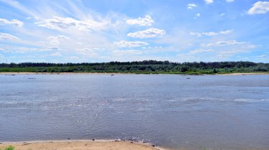 Varşova, Polonya. 11 Ağustos 2025. Wawer bölgesindeki Vistula Nehri üzerindeki Romantik Plaj