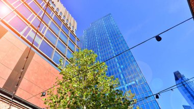 Etrafı yeşil ağaçlarla çevrili cam ofis binası. Çevre dostu ofis binası. Şehrin sürdürülebilir mimarisi ısı karbondioksit azaltıyor modern şehir çevresi.