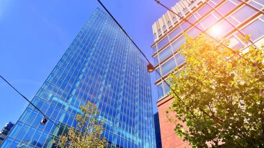 Etrafı yeşil ağaçlarla çevrili cam ofis binası. Çevre dostu ofis binası. Şehrin sürdürülebilir mimarisi ısı karbondioksit azaltıyor modern şehir çevresi.