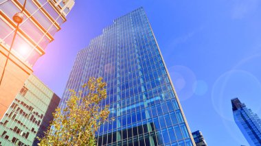 Etrafı yeşil ağaçlarla çevrili cam ofis binası. Çevre dostu ofis binası. Şehrin sürdürülebilir mimarisi ısı karbondioksit azaltıyor modern şehir çevresi.