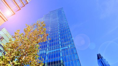 Etrafı yeşil ağaçlarla çevrili cam ofis binası. Çevre dostu ofis binası. Şehrin sürdürülebilir mimarisi ısı karbondioksit azaltıyor modern şehir çevresi.