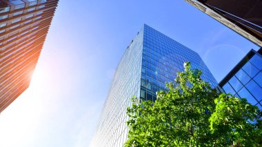 Etrafı yeşil ağaçlarla çevrili cam ofis binası. Çevre dostu ofis binası. Şehrin sürdürülebilir mimarisi ısı karbondioksit azaltıyor modern şehir çevresi.