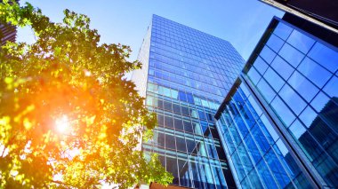 Etrafı yeşil ağaçlarla çevrili cam ofis binası. Çevre dostu ofis binası. Şehrin sürdürülebilir mimarisi ısı karbondioksit azaltıyor modern şehir çevresi.