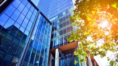 Etrafı yeşil ağaçlarla çevrili cam ofis binası. Çevre dostu ofis binası. Şehrin sürdürülebilir mimarisi ısı karbondioksit azaltıyor modern şehir çevresi.