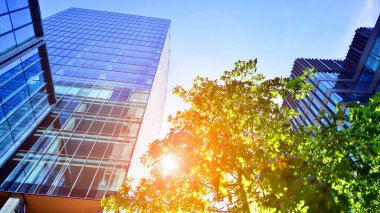 Etrafı yeşil ağaçlarla çevrili cam ofis binası. Çevre dostu ofis binası. Şehrin sürdürülebilir mimarisi ısı karbondioksit azaltıyor modern şehir çevresi.