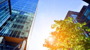 Etrafı yeşil ağaçlarla çevrili cam ofis binası. Çevre dostu ofis binası. Şehrin sürdürülebilir mimarisi ısı karbondioksit azaltıyor modern şehir çevresi.