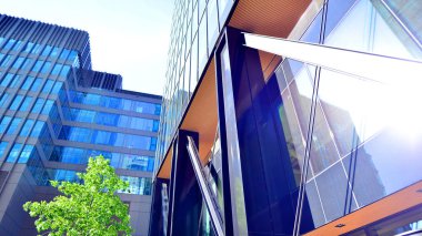 Etrafı yeşil ağaçlarla çevrili cam ofis binası. Çevre dostu ofis binası. Şehrin sürdürülebilir mimarisi ısı karbondioksit azaltıyor modern şehir çevresi.