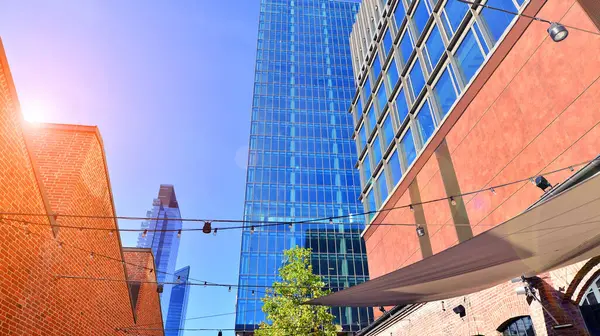 Etrafı yeşil ağaçlarla çevrili cam ofis binası. Çevre dostu ofis binası. Şehrin sürdürülebilir mimarisi ısı karbondioksit azaltıyor modern şehir çevresi.