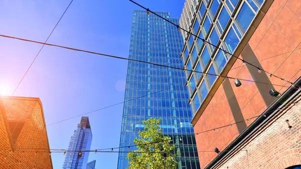 Etrafı yeşil ağaçlarla çevrili cam ofis binası. Çevre dostu ofis binası. Şehrin sürdürülebilir mimarisi ısı karbondioksit azaltıyor modern şehir çevresi.