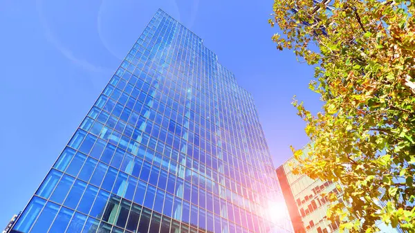 Etrafı yeşil ağaçlarla çevrili cam ofis binası. Çevre dostu ofis binası. Şehrin sürdürülebilir mimarisi ısı karbondioksit azaltıyor modern şehir çevresi.