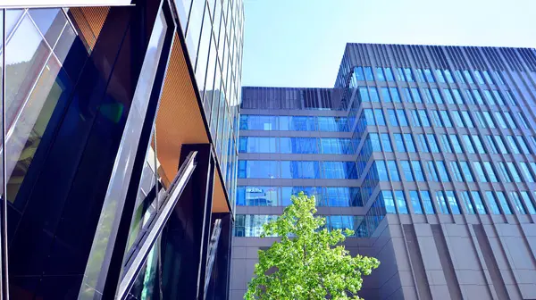 Etrafı yeşil ağaçlarla çevrili cam ofis binası. Çevre dostu ofis binası. Şehrin sürdürülebilir mimarisi ısı karbondioksit azaltıyor modern şehir çevresi.