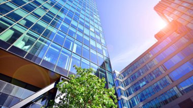 Etrafı yeşil ağaçlarla çevrili cam ofis binası. Çevre dostu ofis binası. Şehrin sürdürülebilir mimarisi ısı karbondioksit azaltıyor modern şehir çevresi.