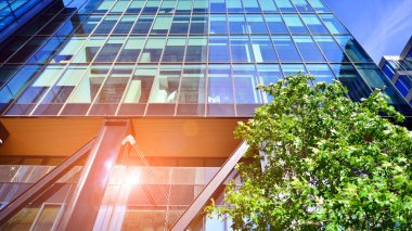 Etrafı yeşil ağaçlarla çevrili cam ofis binası. Çevre dostu ofis binası. Şehrin sürdürülebilir mimarisi ısı karbondioksit azaltıyor modern şehir çevresi.