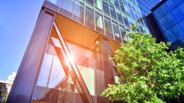 Etrafı yeşil ağaçlarla çevrili cam ofis binası. Çevre dostu ofis binası. Şehrin sürdürülebilir mimarisi ısı karbondioksit azaltıyor modern şehir çevresi.