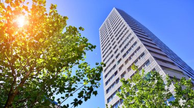 Etrafı yüksek ağaçlarla çevrili bir apartman dairesi. Yeşil ağaçlı yüksek bir bina..