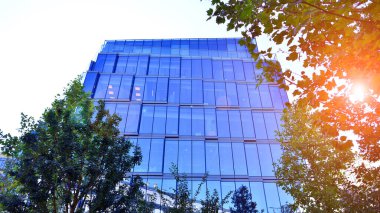 Etrafı yeşil ağaçlarla çevrili cam ofis binası. Çevre dostu ofis binası. Şehrin sürdürülebilir mimarisi ısı karbondioksit azaltıyor modern şehir çevresi.