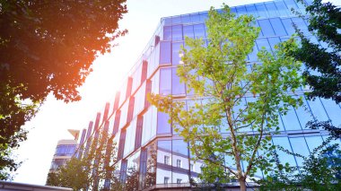 Etrafı yeşil ağaçlarla çevrili cam ofis binası. Çevre dostu ofis binası. Şehrin sürdürülebilir mimarisi ısı karbondioksit azaltıyor modern şehir çevresi.
