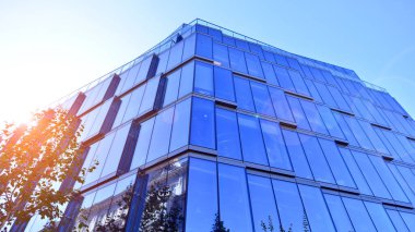 Etrafı yeşil ağaçlarla çevrili cam ofis binası. Çevre dostu ofis binası. Şehrin sürdürülebilir mimarisi ısı karbondioksit azaltıyor modern şehir çevresi.