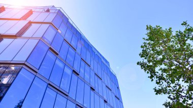 Etrafı yeşil ağaçlarla çevrili cam ofis binası. Çevre dostu ofis binası. Şehrin sürdürülebilir mimarisi ısı karbondioksit azaltıyor modern şehir çevresi.