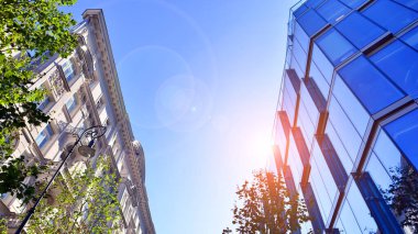 Etrafı yeşil ağaçlarla çevrili cam ofis binası. Çevre dostu ofis binası. Şehrin sürdürülebilir mimarisi ısı karbondioksit azaltıyor modern şehir çevresi.