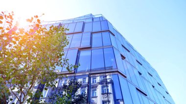 Etrafı yeşil ağaçlarla çevrili cam ofis binası. Çevre dostu ofis binası. Şehrin sürdürülebilir mimarisi ısı karbondioksit azaltıyor modern şehir çevresi.